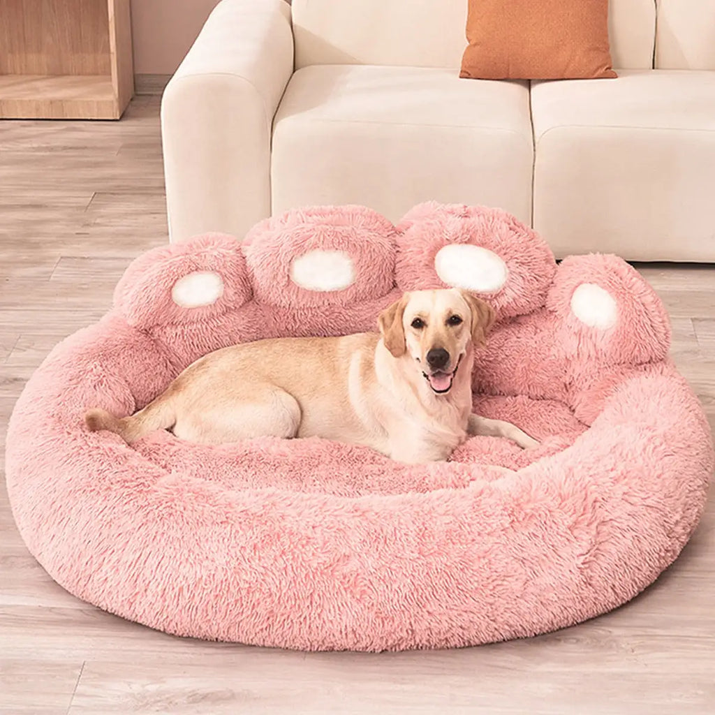 Sovesofa til hunde