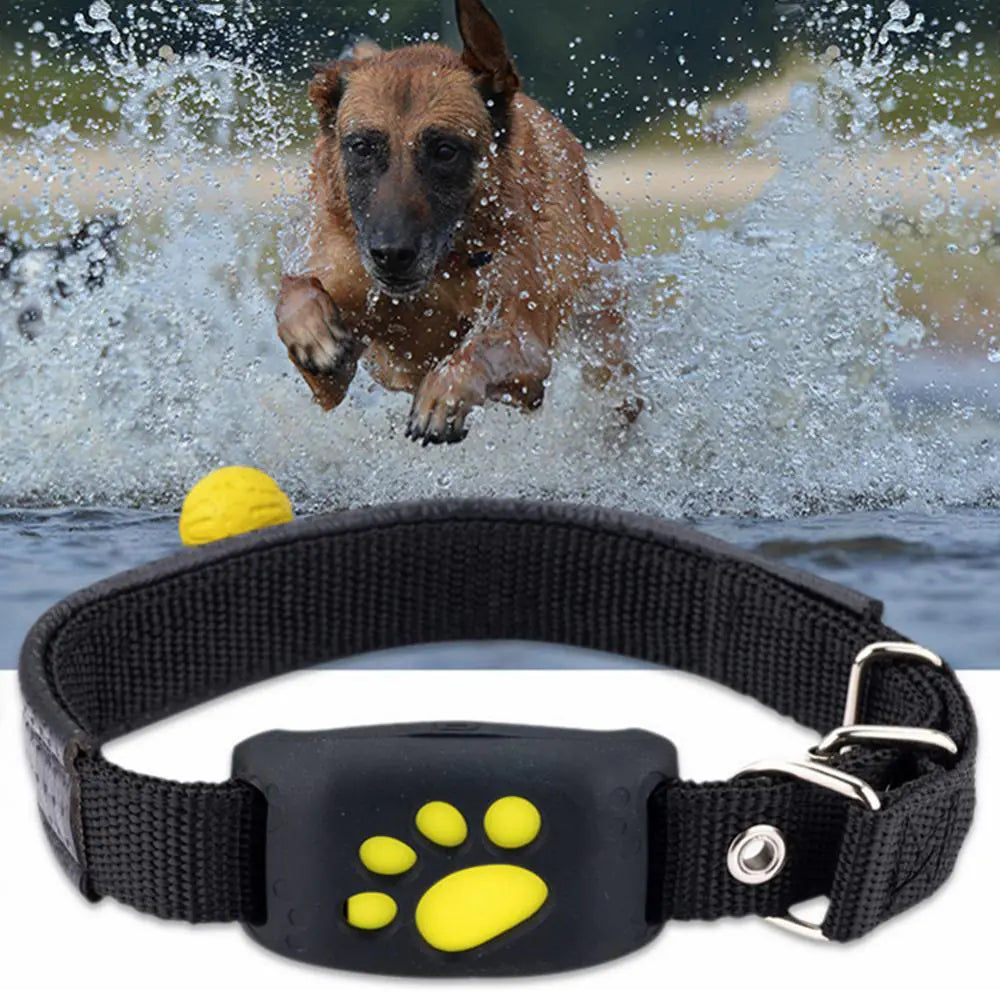 GPS tracker til hunde og katte