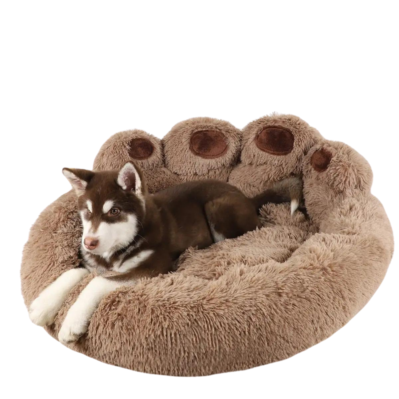 Sovesofa til hunde