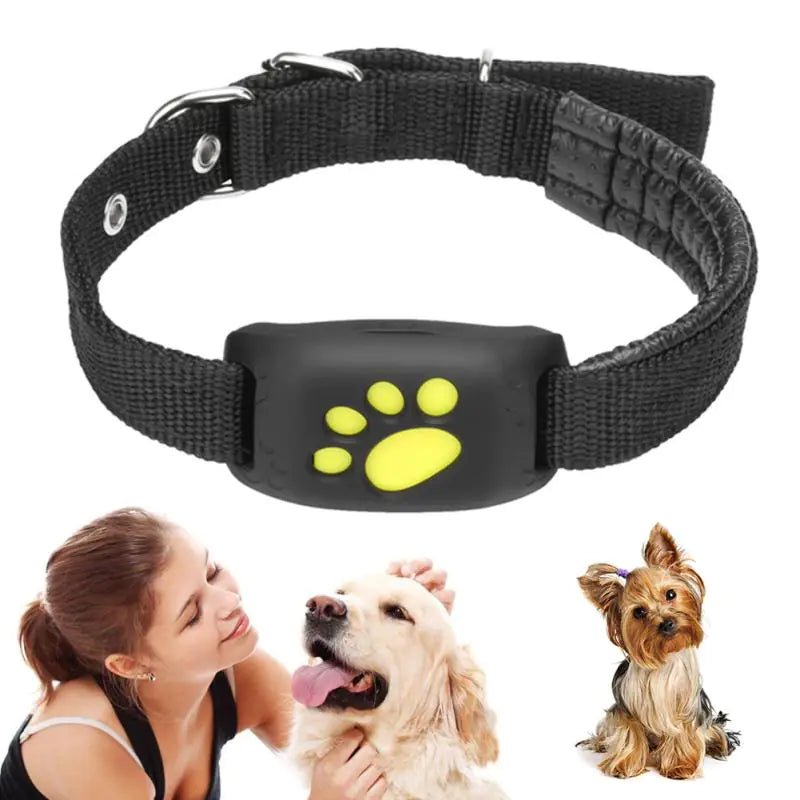 GPS tracker til hunde og katte