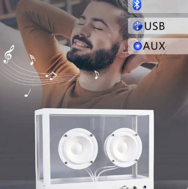 Nordic Acrylic Speaker